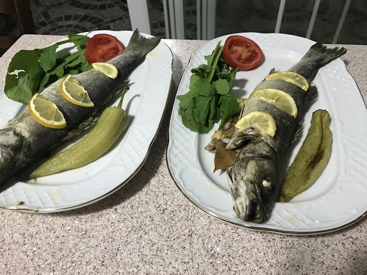** Hotel Tolga Pansiyon Dalyan Turkey